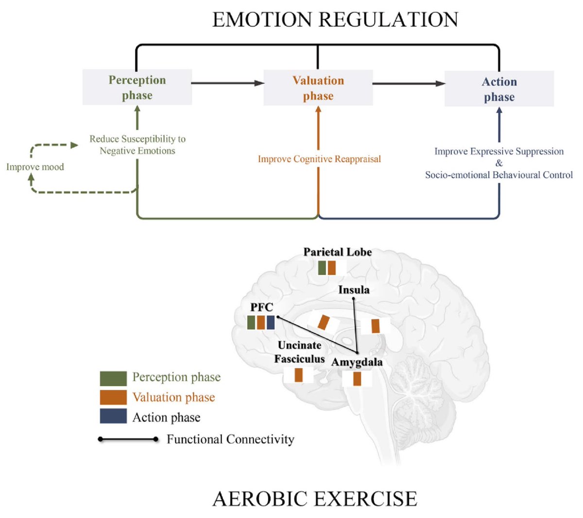 ChristophBurch's tweet photo. Aerobic exercise promotes emotion regulation: a narrative review
https://t.co/SnpnF87tAH https://t.co/UX6j8hc2Yz