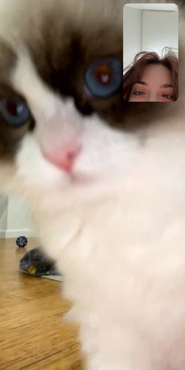 got back from the club at 5am and facetimed my cat
