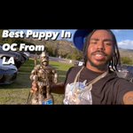 Photo by Tae Extreme Kennels LLC (@TEKennells)