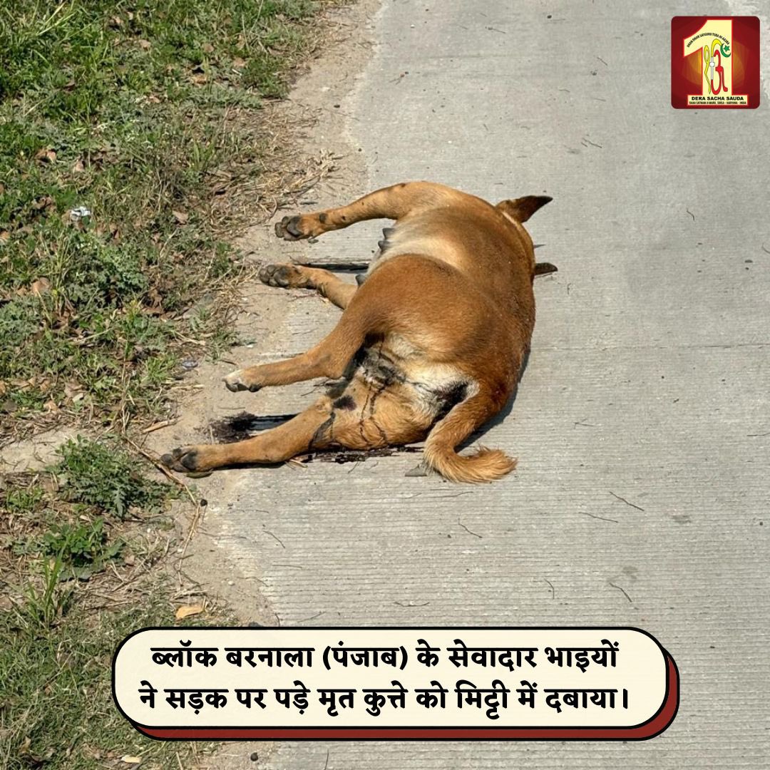 Dera Sacha Sauda tweet media