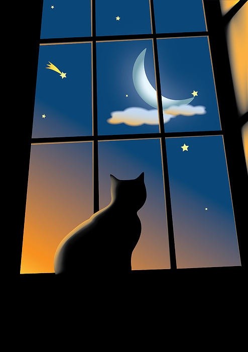 alexusiwanoff3's tweet photo. 🌛🌠🐈‍⬛💭.......................................... https://t.co/ytA0FxnqW5