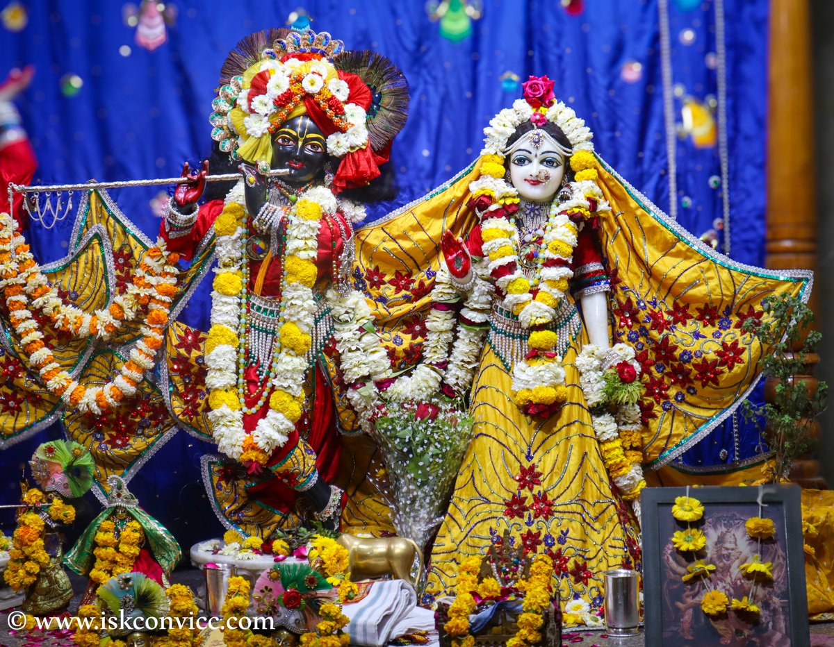 iskconvicc's tweet image. Śrī Śrī Radha Gopal Darshan -  9/3/2024 @iskconvicc

#9march #saturday #saturdaydarshan #radhakrishnadarshan #iskconvicc #iskconvaranasi #aajkedarshan #todaysdarshan #mangalaaarti #shringaraarti #darshanaarti