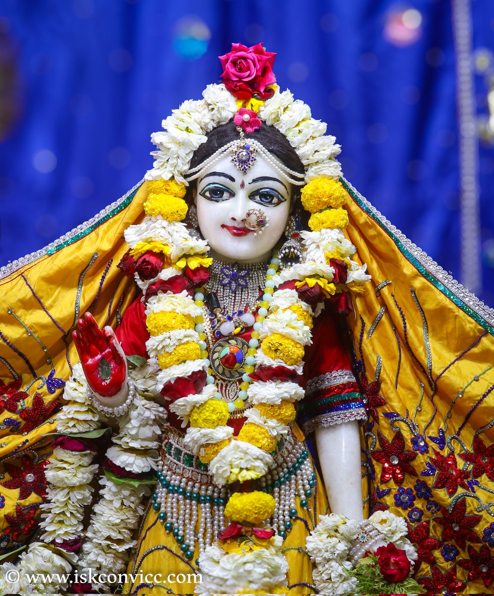 iskconvicc's tweet image. Śrī Śrī Radha Gopal Darshan -  9/3/2024 @iskconvicc

#9march #saturday #saturdaydarshan #radhakrishnadarshan #iskconvicc #iskconvaranasi #aajkedarshan #todaysdarshan #mangalaaarti #shringaraarti #darshanaarti