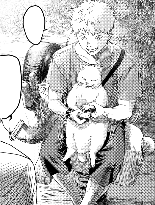 🐈