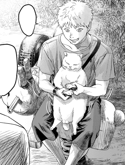 🐈 