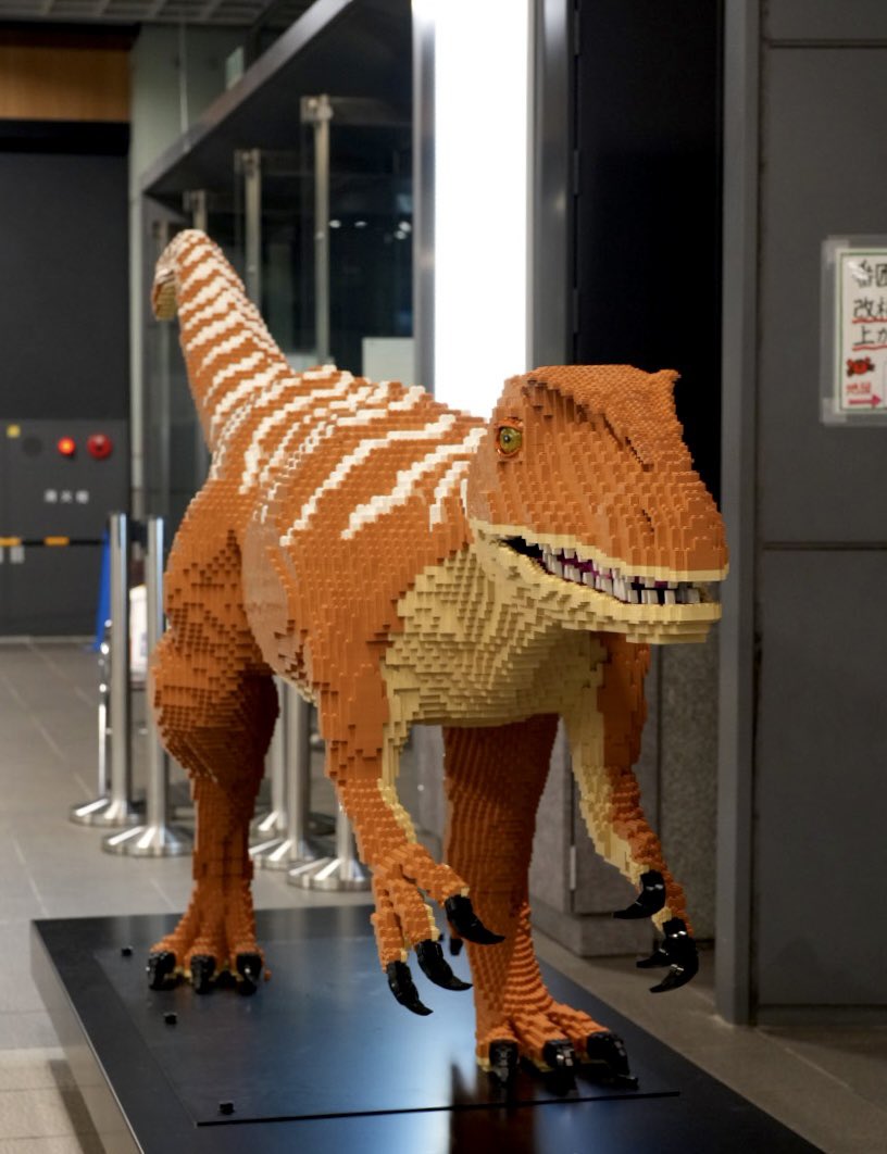 新品★KAITO FUKUI ラグ ブランケット★福井海東 Fukuiクエスト！〜わがまちレベルアップLABO〜 | 福井テレビ