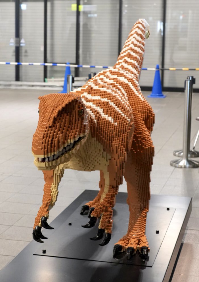 新品★KAITO FUKUI ラグ ブランケット★福井海東 Fukuiクエスト！〜わがまちレベルアップLABO〜 | 福井テレビ