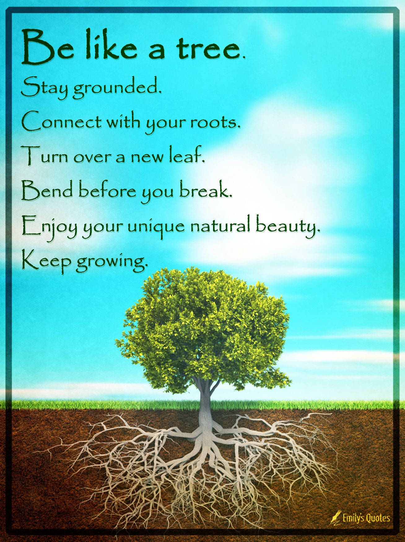 Tree Adoption Uganda on X: &ldquo;Today, let&rsquo;s learn from the 
