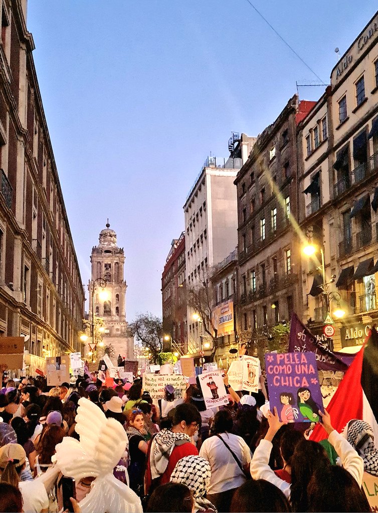 ItsNibriana's tweet photo. Ni calladitas ni bonitas 💜✊️

#8M2024 #8M #NiUnaMenos #niunamas #8marzo2024 #miprimeramarcha #NoEstasSola https://t.co/Comb3NfRP2