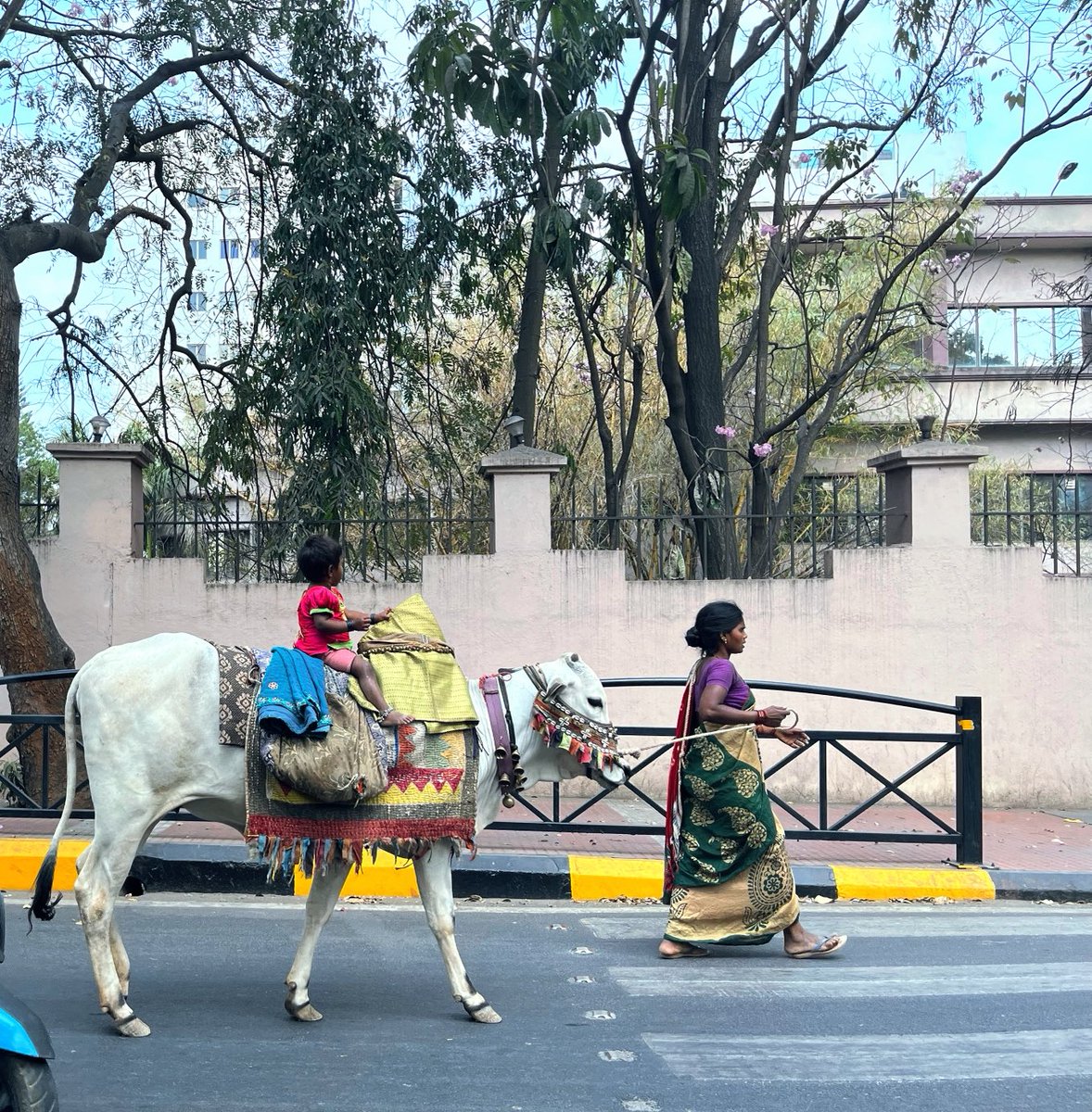 shrex's tweet image. #bangalore stroll