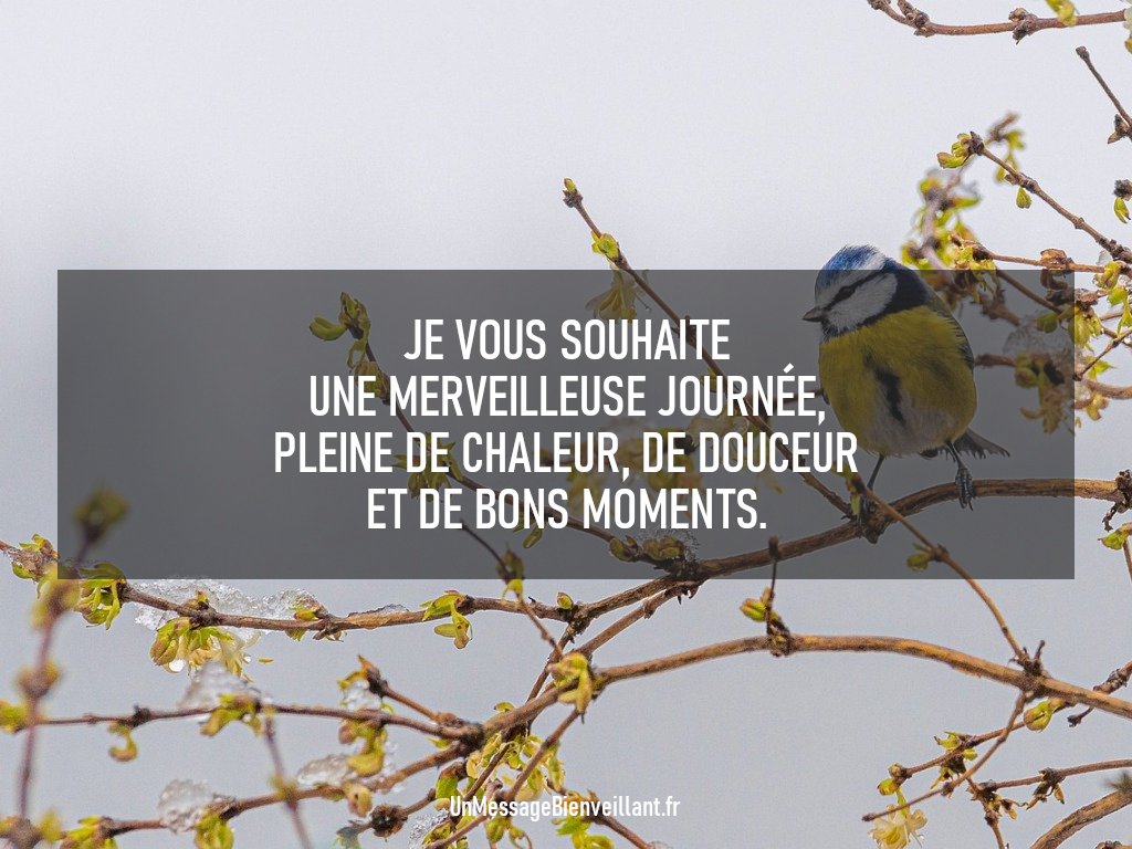 MsgBienveillant's tweet photo. Encore une belle journée qui commence, et c'est enfin le week-end !

À toi qui lis ce message, je te souhaite une journée lumineuse.💗

#BonneJournée #Samedi
#Ligue_Des_Optimistes #PenséePositive
#DéveloppementPersonnel
#UnMessageBienveillant https://t.co/J4kzad1QZo