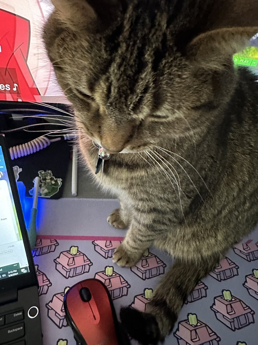 buttered toast tweet media