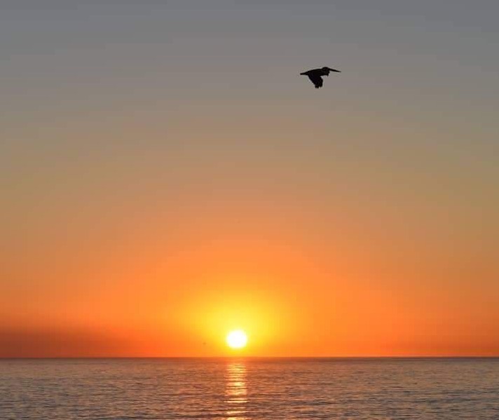 G'day everyone.
Mooloolaba, Sunshine Coast Australia.
#photography #landscapephotography #landscape #nature #lindquistphotography #sunshinecoast #mooloolaba #sunrise #australia #abcmyphoto #weatherobsessed