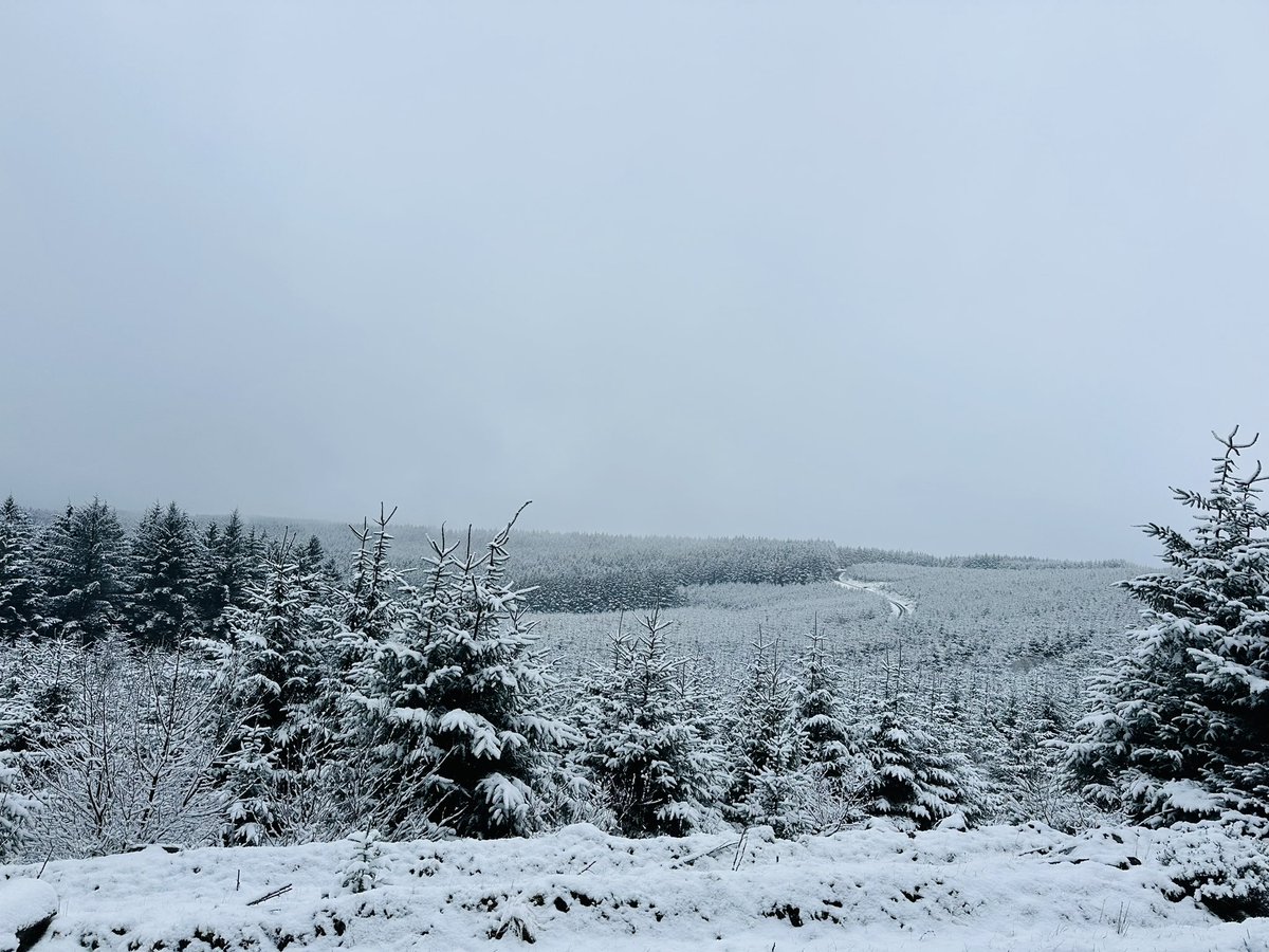 Chloe Howells tweet media