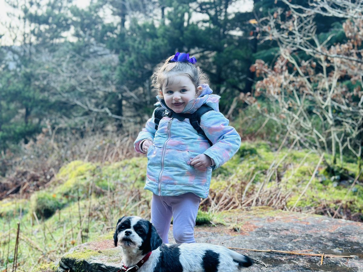 Chloe Howells tweet media