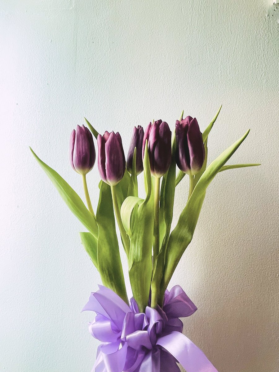 trixjets_'s tweet photo. ugh, this guy 🥹

January, February, March flowers ❤︎ https://t.co/jHhF0P47DR