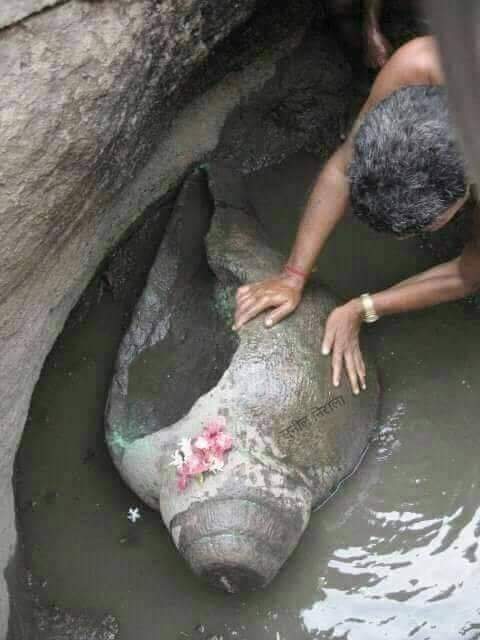 077088_'s tweet image. सनातन धर्म और उसके आराध्यों की शक्ति  के एक नहीं अनेको अद्धभुत प्रमाण है
भागलपुर से लगभग 45 Km की दूरी पर बसे बांका जिले में &apos;मंदार पर्वत&apos; स्थित है
मंदार पर्वत पर शंख कुंड में स्थित है धार्मिक रूप में अति महत्वपूर्ण विशाल पांचजन्य शंख 
यह पांचजन्य शंख वही शंख है जिसमें भगवान शिव…