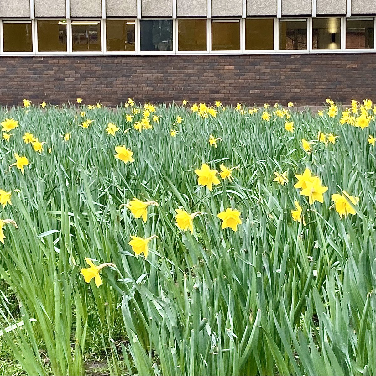 swan8inspirates's tweet photo. #4Views from the 1st week of meteorological #Spring 

The colours on show this week were gratefully received and reminded me👇👇

“When a week offers you difficult challenges to face you’ll get through if you show yourself love and grace” ~ Karl #quotes 

Happy weekend lovelies x https://t.co/BvA6KUc1Ax