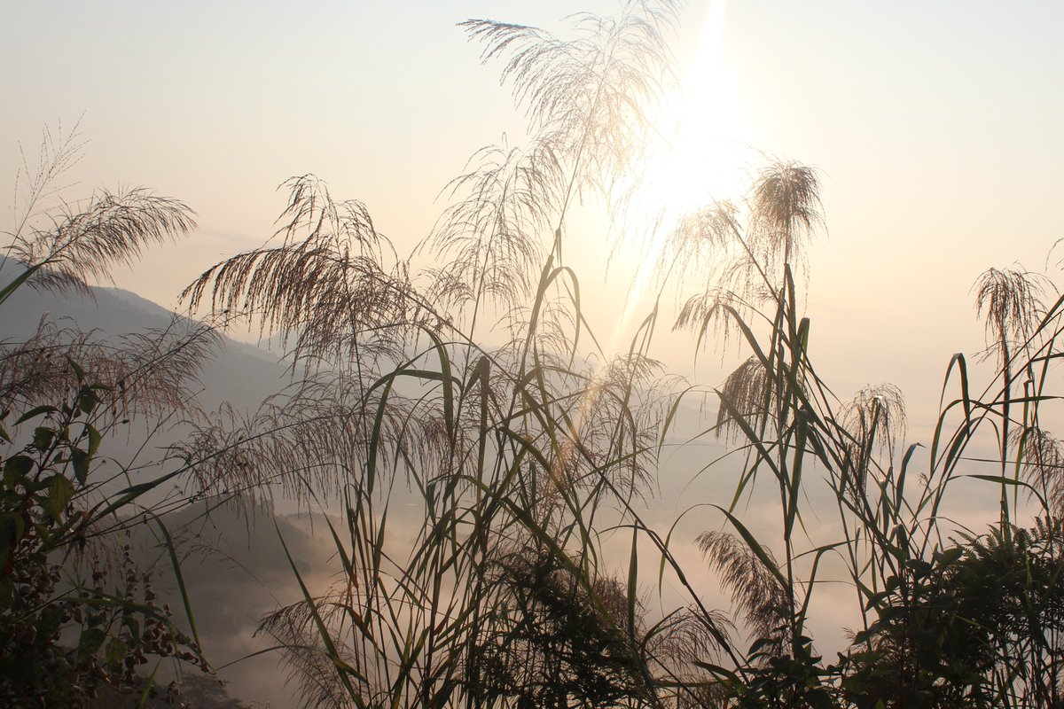 Morning Everybody.
instagram.com/life.of.travel…