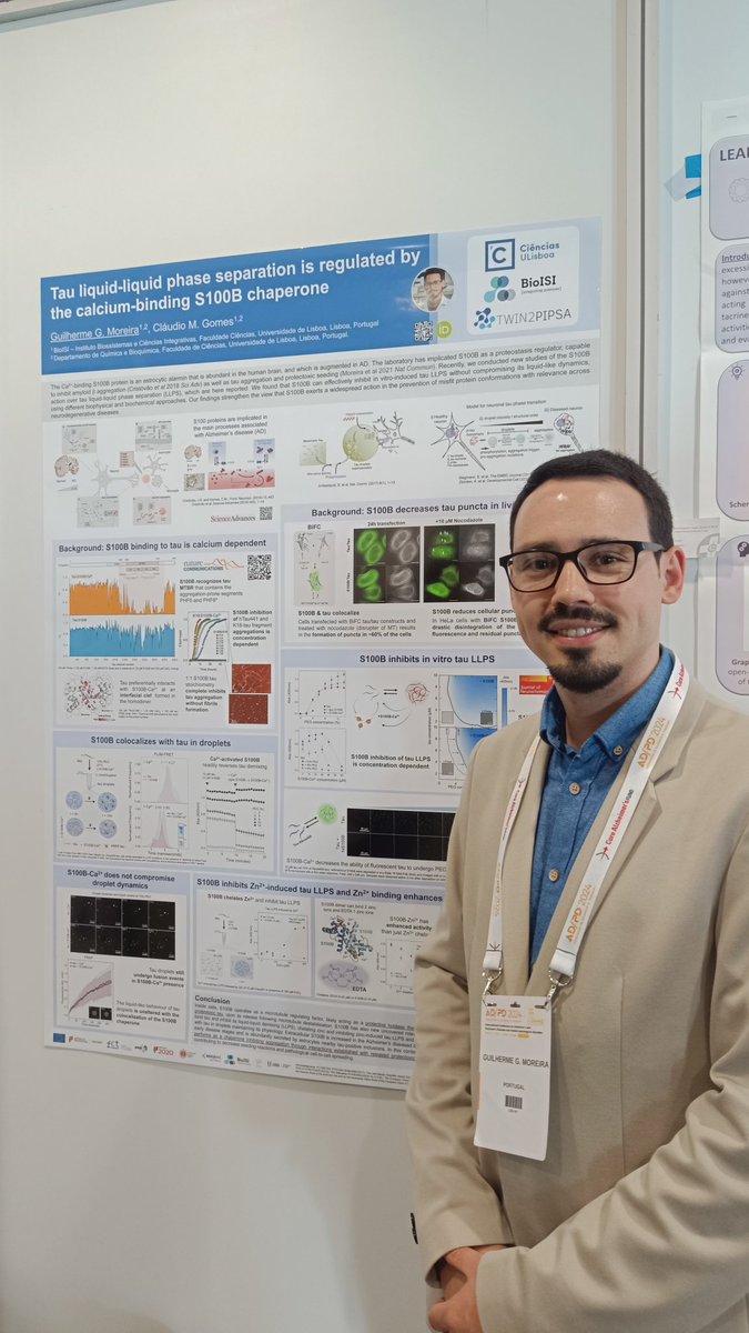 📢 #adpdnet Take advantage of the last day of #ADPD2024 to pass by my poster about the regulation of #tau #PhaseSeparation by the #chaperone S100B 🔬 ➡️ Poster #444 🧪👨‍🔬 work done at <a href="/ClaudioGomesLab/">Cláudio Gomes Lab - Protein Misfolding in Disease</a> <a href="/cienciasulisboa/">CIÊNCIAS ULisboa</a> <a href="/ULisboa_/">ULisboa</a> <a href="/BioISI/">BioISI</a>