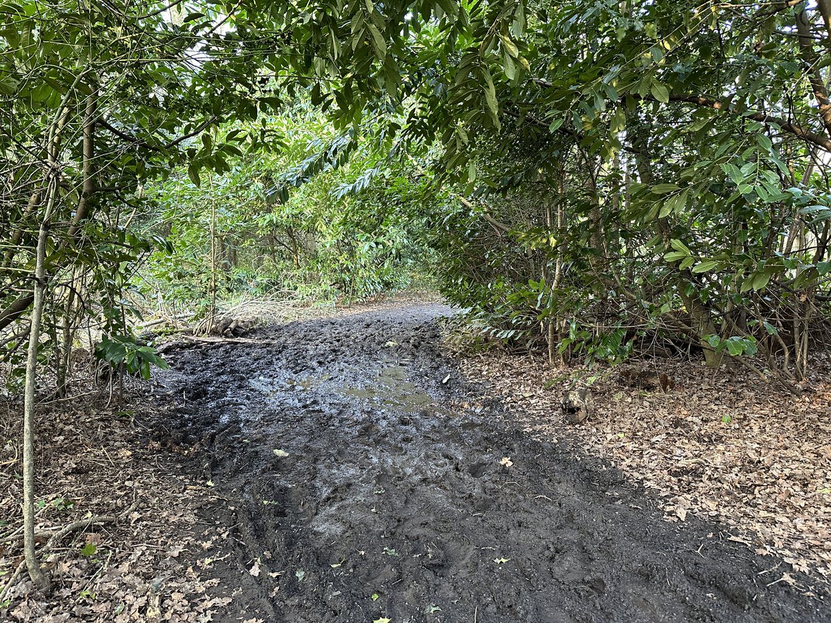 We will be on the winter course today
1 short lap and 3 long laps, avoiding dog poo bin corner (as shown in the photo)
This will allow that surface area to recover from all the rain and mud churn recently.