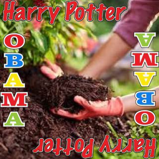 tickerBITCOINbb's tweet photo. Ticker BITCOIN EXPLODING PAST ATH

WE DONT PAY ANYBODY SO SURPRISINGLY SOME PPL ARE SILENT LMAO

MULCH LIFE!!!!!!!
🔵🟡🔴

LORD MULCHLEBERRY HIMSELF IS BUYING
💪💪💪💪

#HarryPotterObamaSonic10Inu https://t.co/d0QupSBooW