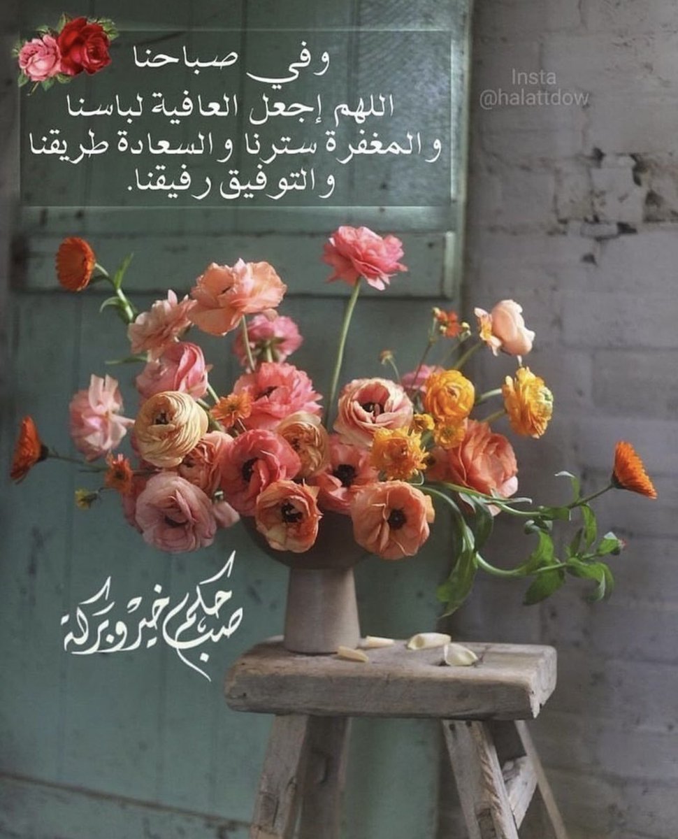 هيا عبدالعزيز tweet media