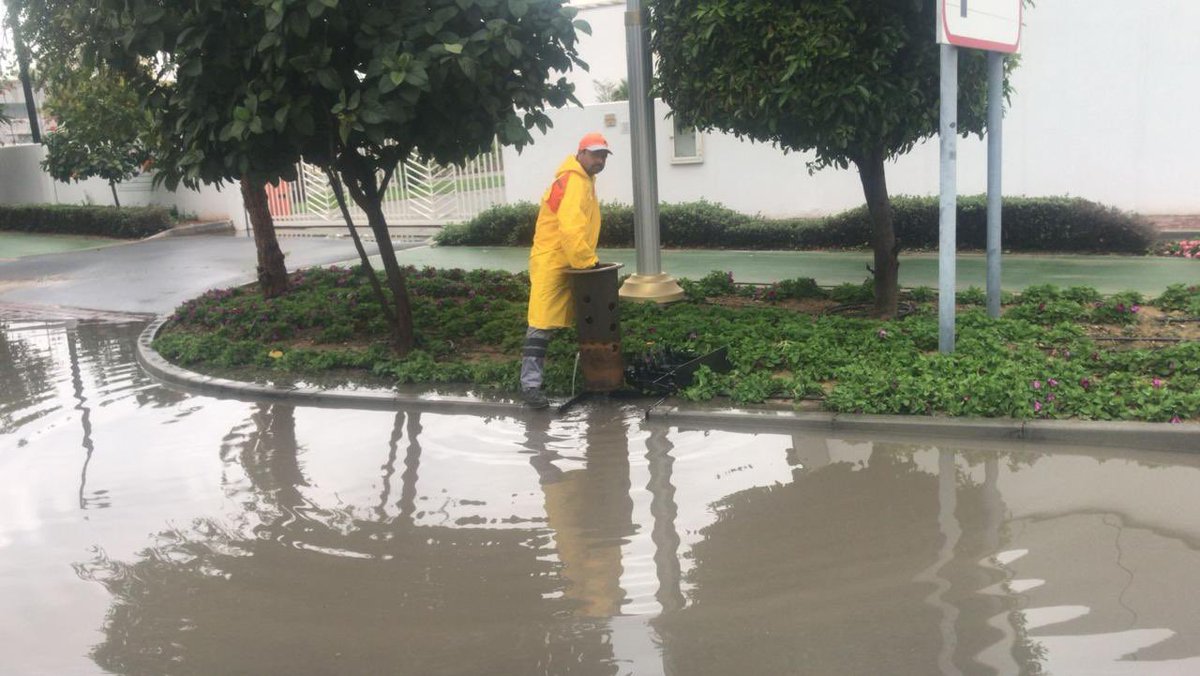 DXBMediaOffice's tweet photo. Dubai Municipality teams work to drain rainwater and clear fallen trees to ensure safety and restore normalcy.. https://t.co/tRdaLwAsnS