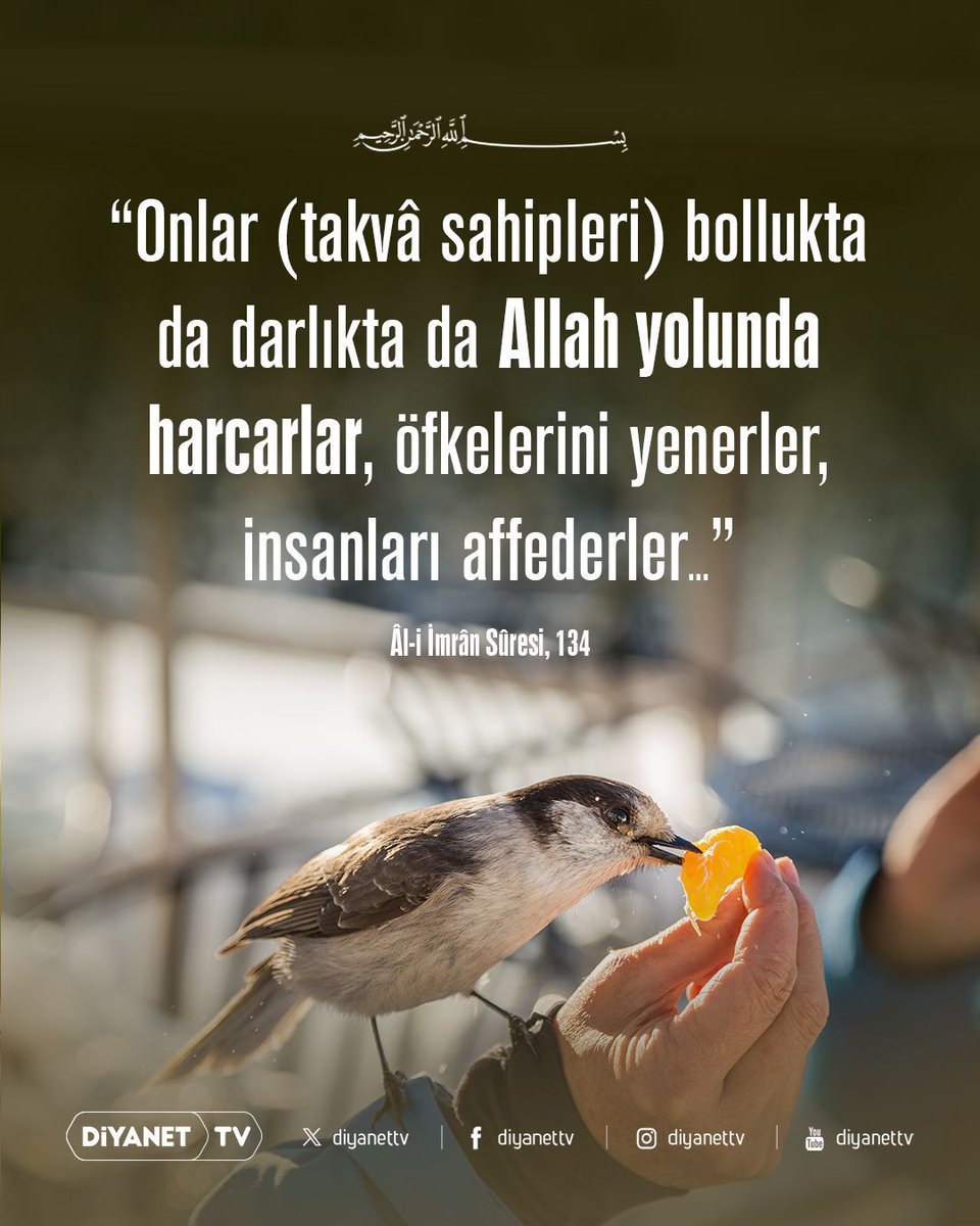 Porno aktyorlar nimadan foydalanadilar? Spermitsidli shamlarni himoya qilish darajasi