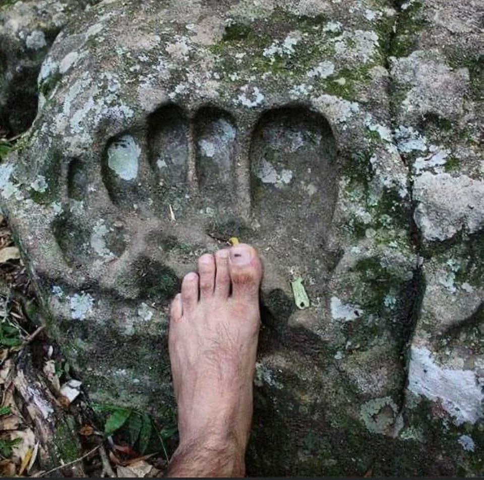 FOUND IN THE PURON MOUNTAINS OF of SOUTHWESTERN BULGARIA