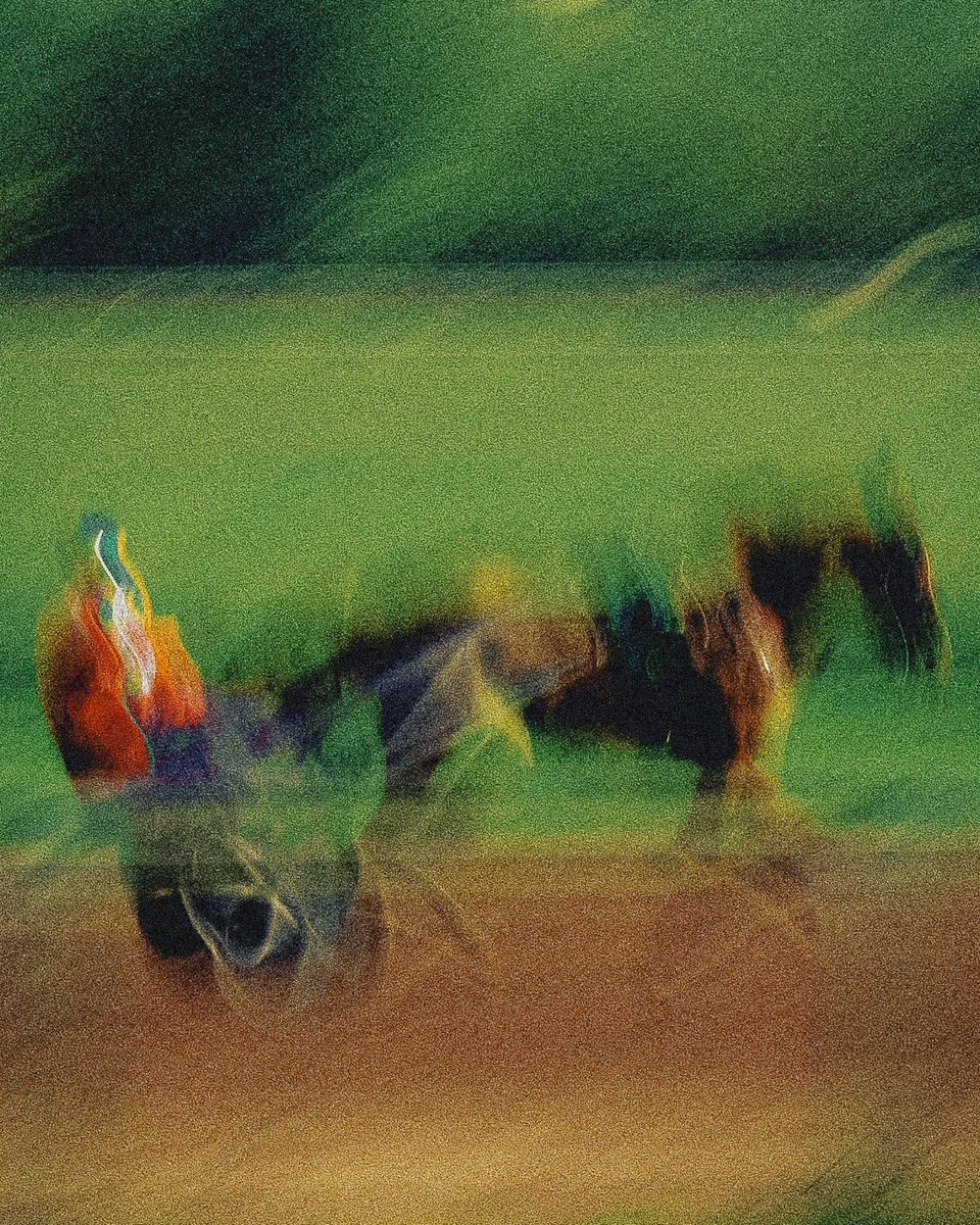 voilacam's tweet photo. Hippodrome de Caen 
📸 Leica Q2 https://t.co/ptRdS3SgFr