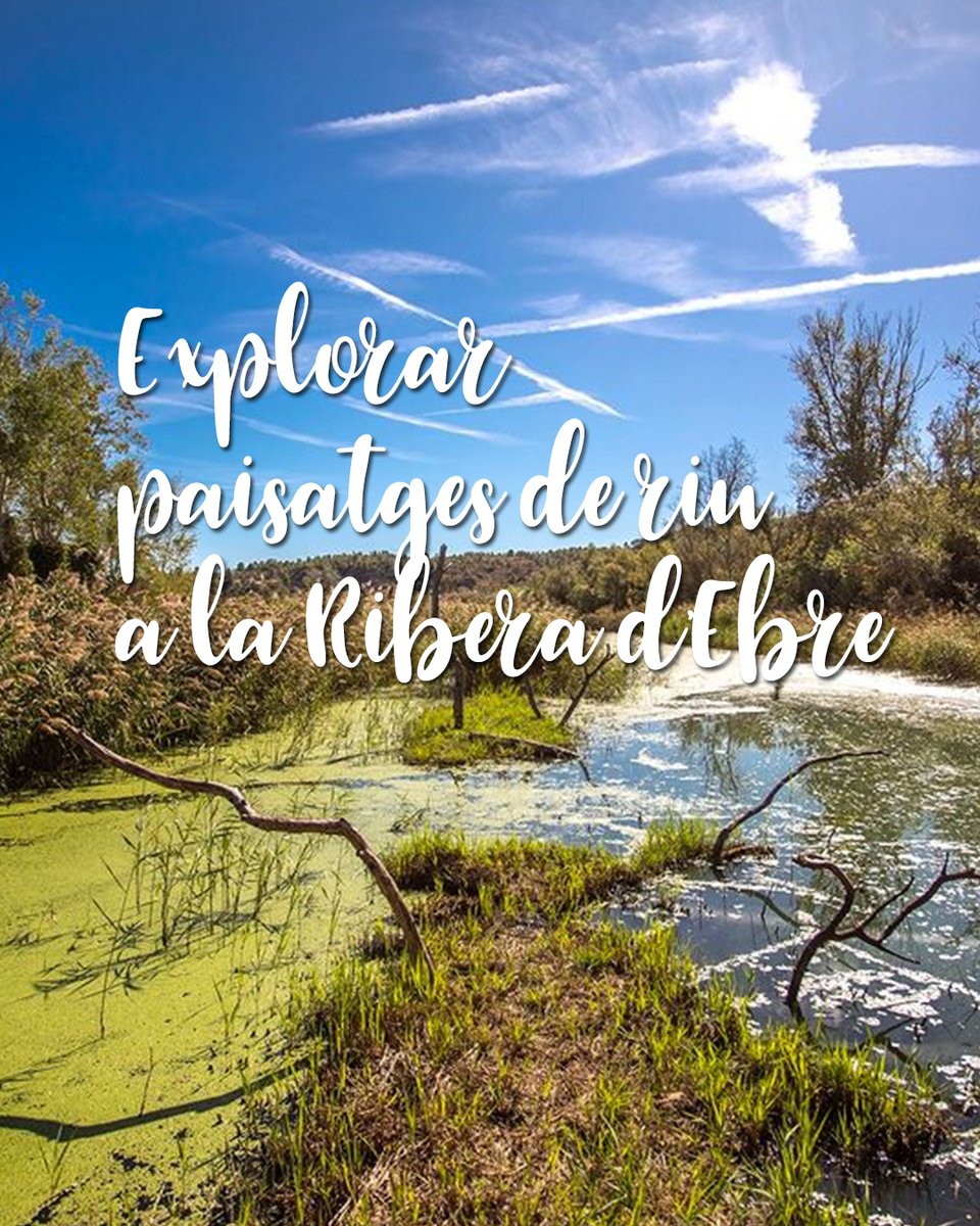 Terres de l'Ebre tweet media