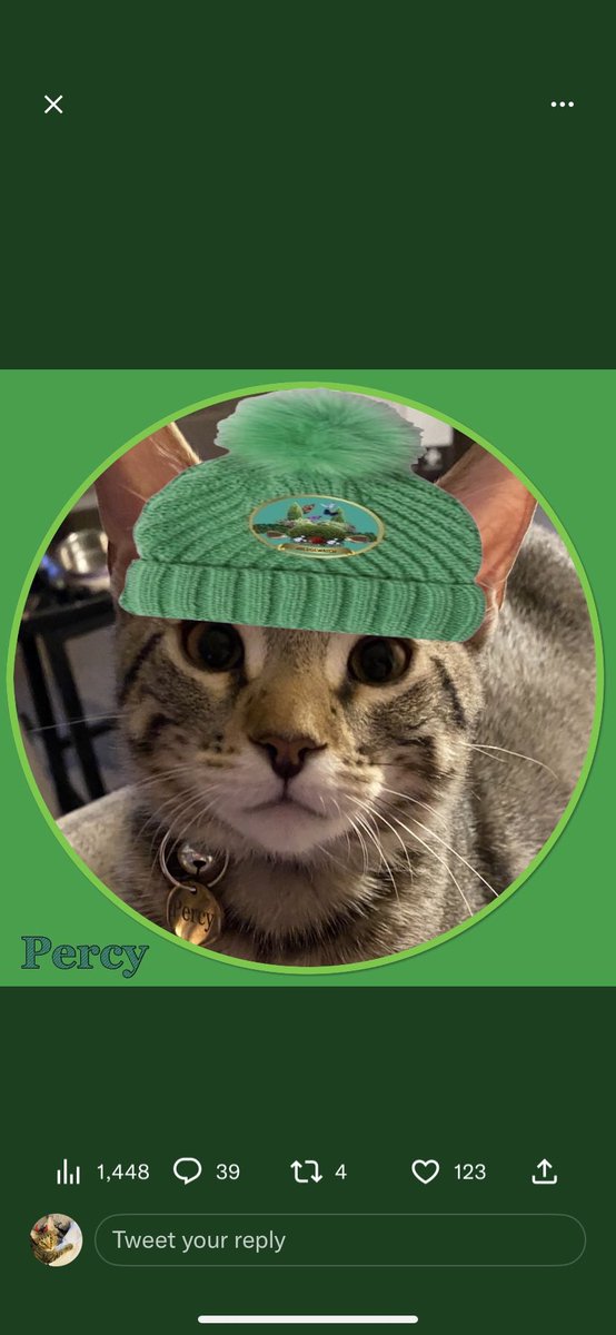 PercyLewiisCat's tweet photo. @Hedgewatchers @RavenRoyce7 Hi Lilbelle, I live in the US with my sister and Brofurs. Welcome.  #Hedgewatch https://t.co/Kv4wnfNi7n