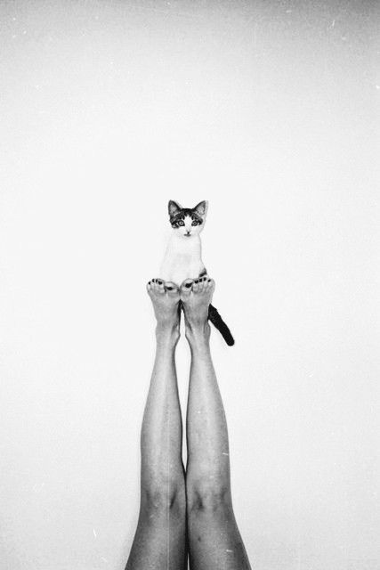 Courageous            :-)