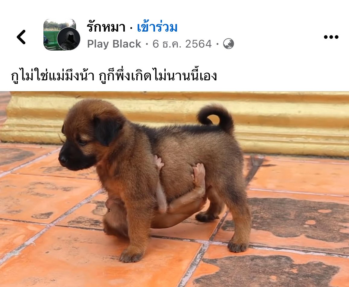 REST. อายนี่ 🎈 (@eyecrazy_b) on Twitter photo 