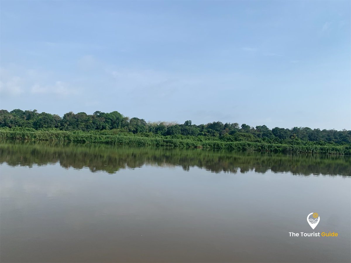 rodriguexplore's tweet photo. Bonjour depuis le village Pongo-Songo
📍 îles aux chimpanzés
🚤 fleuve Sanaga
#visiterlecameroun #VisitCameroun #TheTouristGuide #PongoSongo https://t.co/abSoZnuSDm
