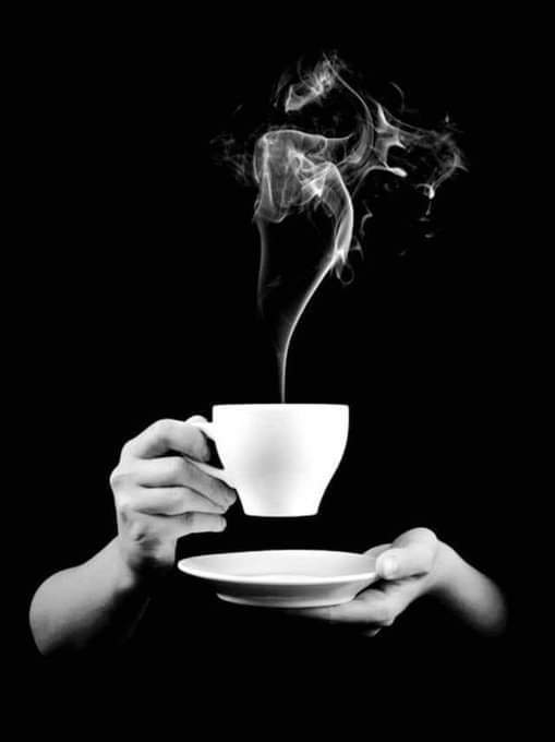 Graciel26499963's tweet photo. Que el amanecer entre las sábanas tibias sea ese momento sumergido Y envuelto en el aroma del café. Que la nostalgia se transforme en un sueño denso y que el tiempo se detenga por un instante, en la efímera vejez.!!
#BuenosDias!
#LindoFinde!
#BellaVida ☕ https://t.co/kCtsxax2zg
