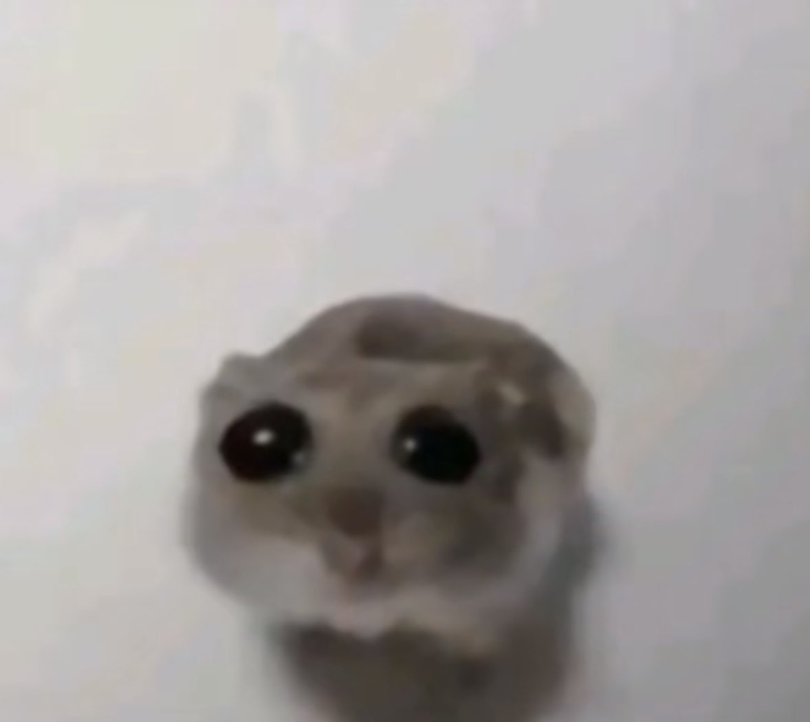 m hinche los huevos todo lo q me gusta tiene harina grasa pareja o me miente