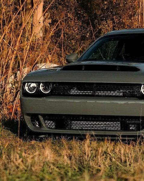 DodgeFanClub's tweet photo. Dodge Demon😈
📸: J L https://t.co/TH06sWMjJo