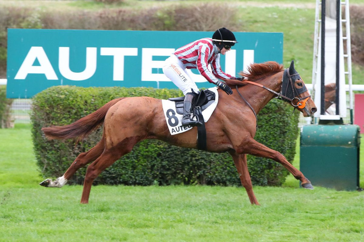 KARRÉ D’AS (Balko) tient sa victoire de Groupe. La 4ans remporte le Prix Duc d’Anjou (Gr3, Steeple). C’est la 2e victoire à ce niveau pour Charlotte Prichard. <a href="/davidcottin/">David Cottin</a> <a href="/DetrDetre/">Patrice Détré</a>  📸<a href="/ScoopDyga/">ScoopDyga</a>