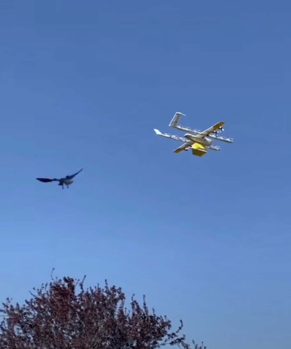 dronehito's tweet photo. 飛行中のドリフト機にカラスが攻撃❗️本当に攻撃するのですね。
#ドローン
#ドローン空撮
#ドローンスクール
#ドローン協会
#群馬県ドローン普及協会
#Hito企画ドローン事業部
#群馬県
#伊勢崎市
#鳥獣駆除 https://t.co/knmJv136z8