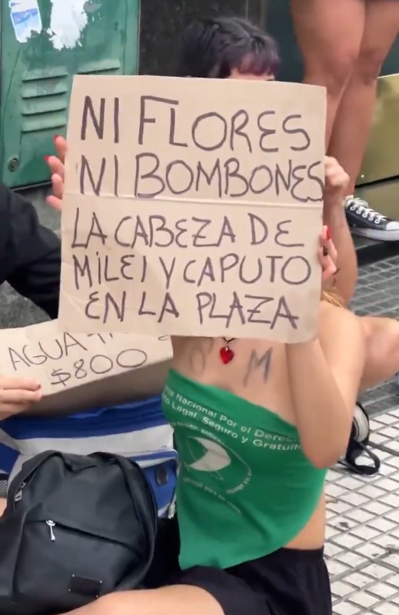 Estas mujeres no me representan en lo más mínimo. Basta del curro del feminismo politizando todo. 

No salieron a la calle cuando las militantes feministas asesinaron a su hijo a golpes. Y así muchos casos más.

Soy mujer de derecha, anti pelotudeces. Fin