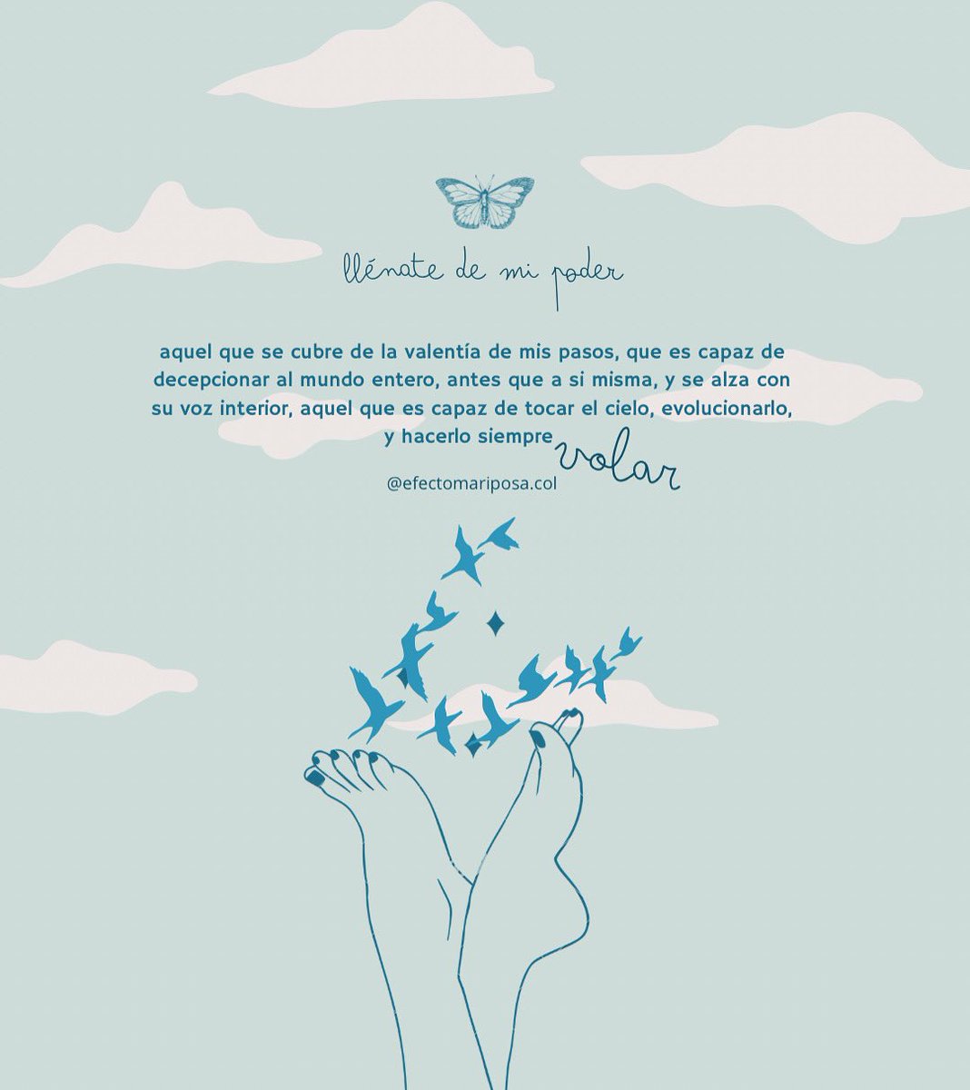 EFECTO MARIPOSA | LIBRERIA tweet media