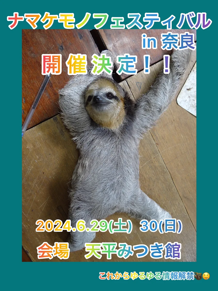 Highlights by ナマケモノ研究所(The sloth research center