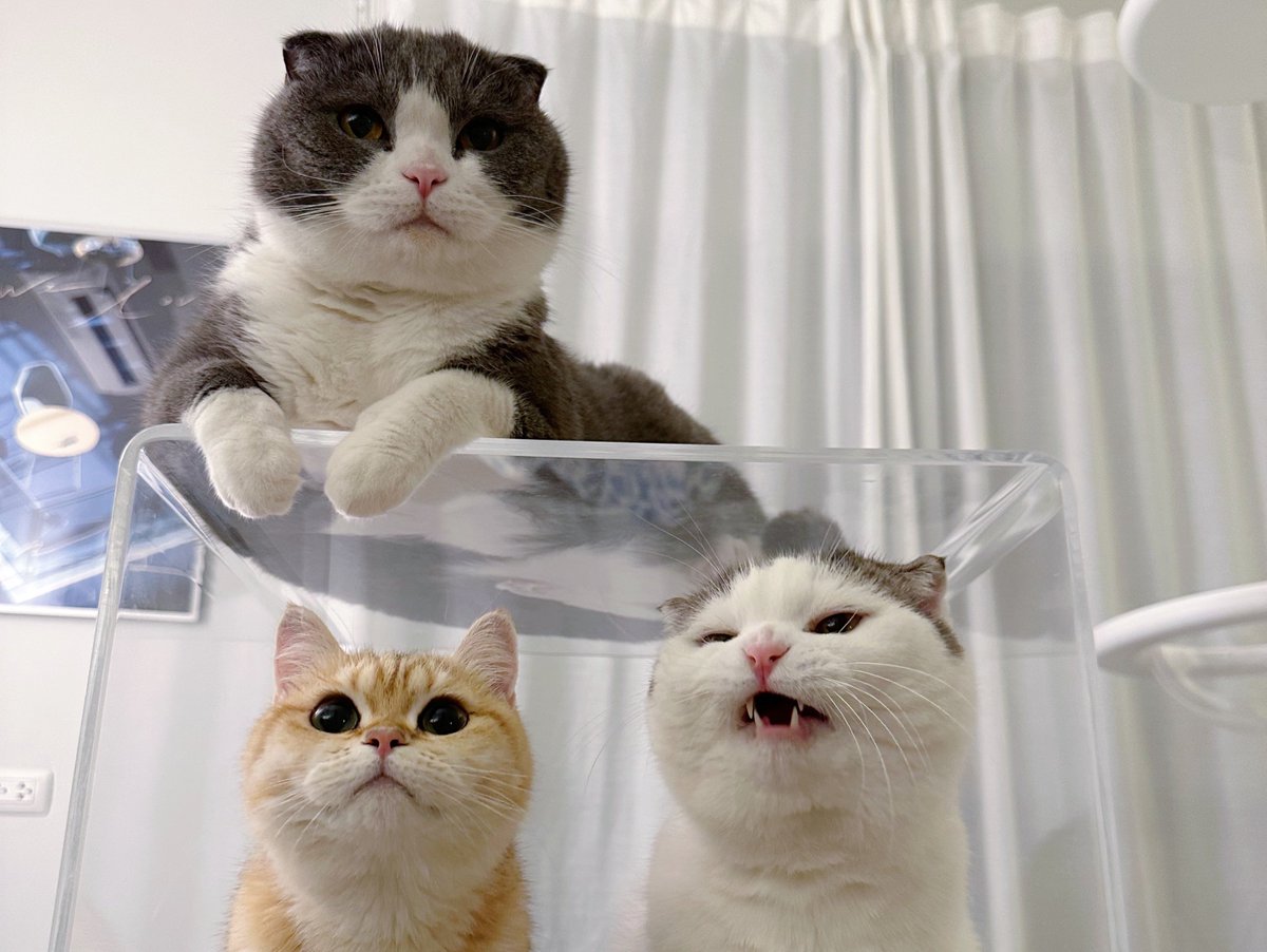 มันจะมี มันจะมีอยู่ตัวนึง