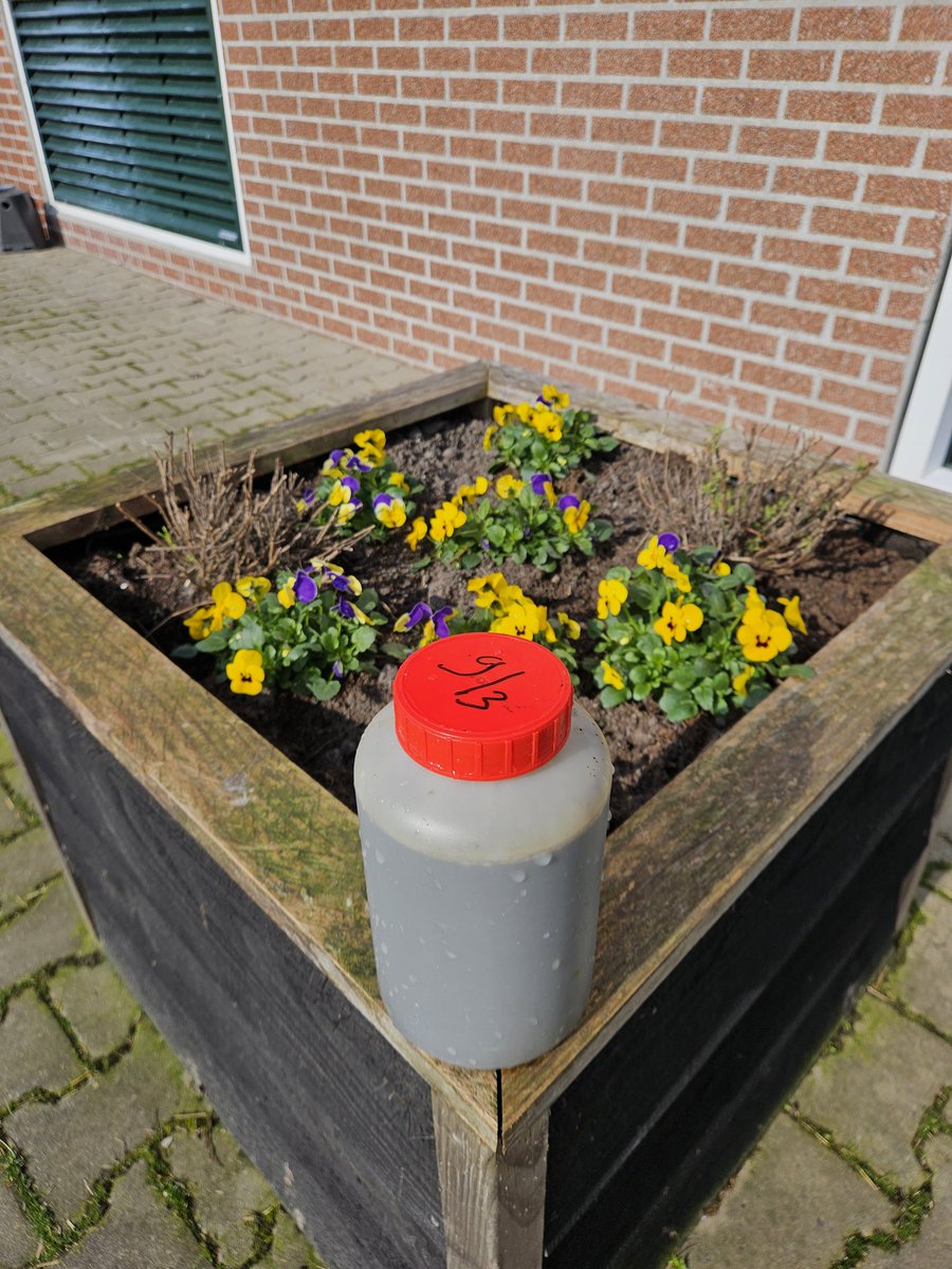 Melkvee_Kievest's tweet photo. Bemestingsseizoen is weer begonnen. Ik mag weer met het emmertje achter de bemester aan om mestmonsters te nemen voor het @Netwerkpraktijkbedrijven. https://t.co/2UQAX25bH2