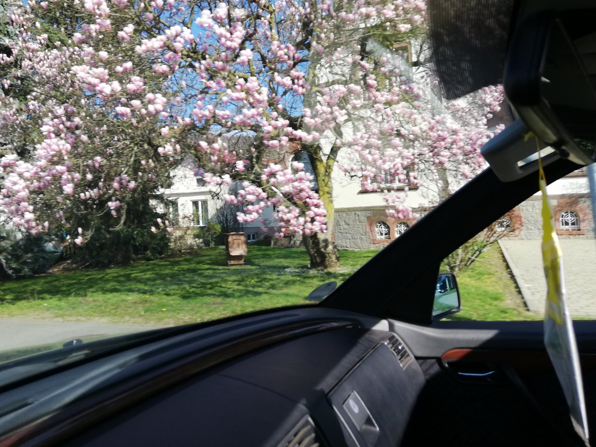 'Die Bergstrasse blüht'
Frühling in der Kurpfalz. 🌞