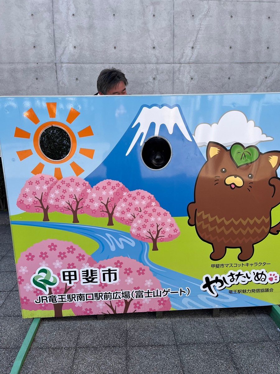 komi7125's tweet photo. お分かりいただけただろうか
#山梨県
#甲斐市
#竜王駅
#やはたいぬ
#ピー https://t.co/GkCUzqYxTG