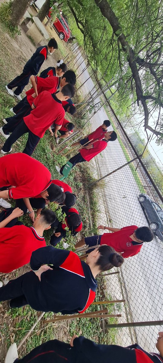 JulienValjean's tweet photo. @reforestacion @JulianValjean Listo, ya esta registrado, la plaza de mi casa y también la secundaria donde trabajo, les platique a mis alumnos, se entusiasmaron, empezamos un almacigo y en la semana haremos limpia de un terreno en la escuela, para cuando lleguen los árboles, haremos una caja de abono. https://t.co/JL8fhA3bsT