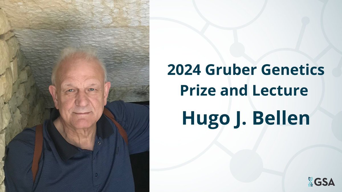 TOMORROW, 11:15 am EDT, at #TAGC24, Hugo J. Bellen of @bcmhouston will be presented with the 2024 Gruber Genetics Prize, followed by his lecture on how research of rare pediatric neurological diseases in flies drives discoveries in common diseases. Don't miss it! @The_Gruber_Fdtn